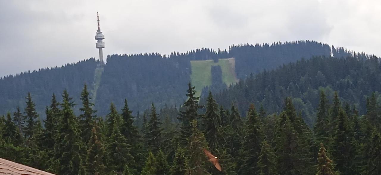 Спа,Ски Апартамент Дайли, Стрийм Ризорт Пампорово Exterior foto